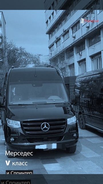 Аренда автомобилей от ТрансЛюкс