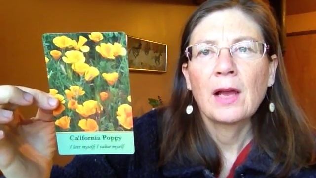 You Are BEAUTIFUL says California Poppy