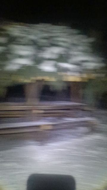 Находка в зимнем лесу