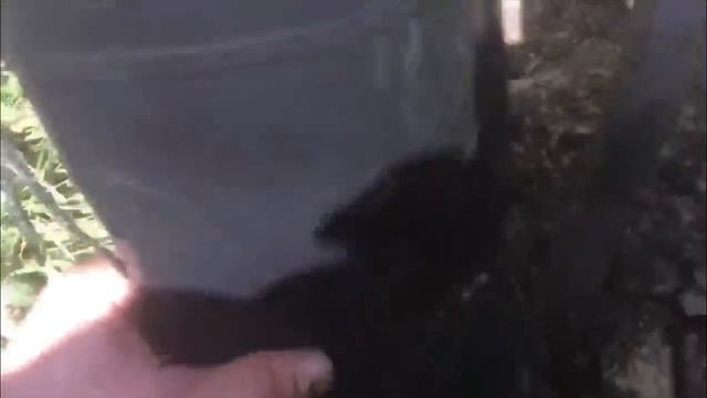 Нашёл медную бочку! Адреналин зашкаливает!!!