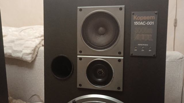 VID_20250219_203606