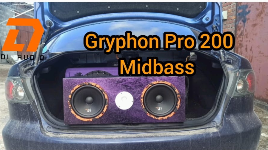 Dl Audio Gryphon Pro 200 Midbass.Обзор на  лучшие бюджетные мидбасы.