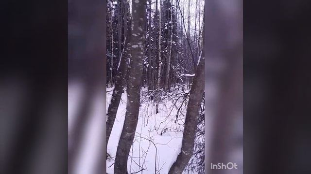 момент из моей жизни