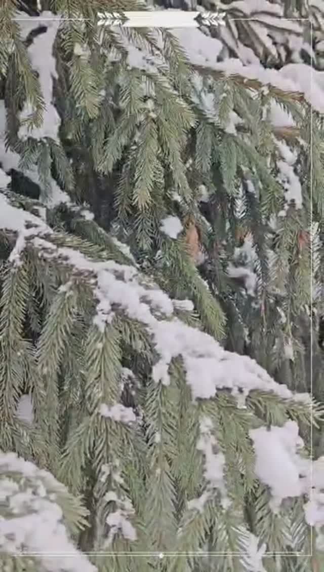 Красота в деталях...