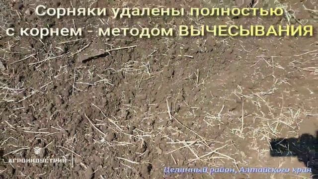 11 БРК -8 работает по стерне пшеницы.  Алтайский край