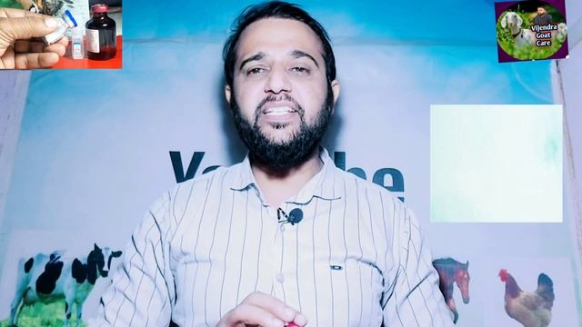 बकरियों को सर्दी, खांसी, जुखाम, बुखार, निमोनिया का इलाज सिर्फ 2 इंजेक्शन से||Pneumonia, Fever ke in