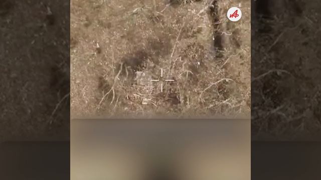 СУ «посыпались»! Сахалинские штурмовики захватили 4 вражеских опорника на Южно-Донецком направлении