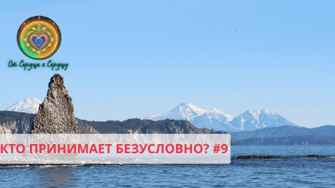 Кто принимает безусловно? #9
