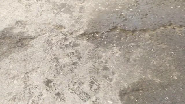 будай базар Джалал абад 09.01.23