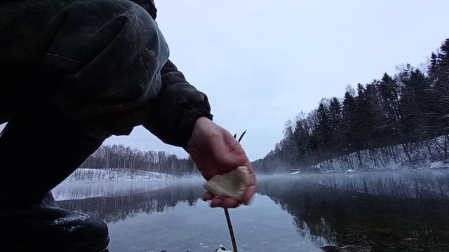 Ловля карася с утками.mp4