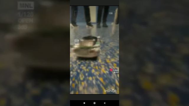 тачки