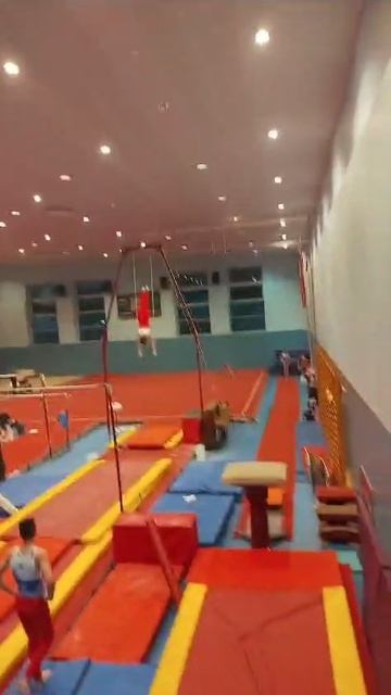 соревнования гимнастики