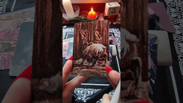 расклад на МАК Ревизия Страхов на 4 варианта