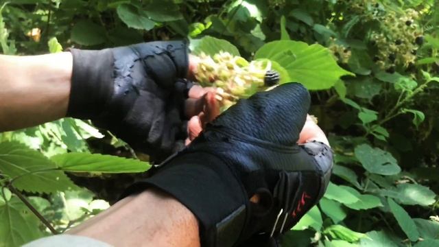 7 дней одиночного выживания в очень высоких горах 4466 м Экстремальный поход