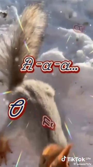 VID-20250219-WA0024