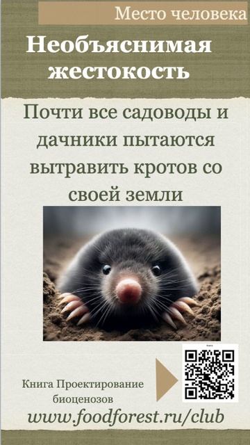 Дроны на даче и кроты1
