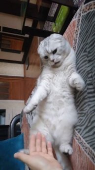 Не в духе..