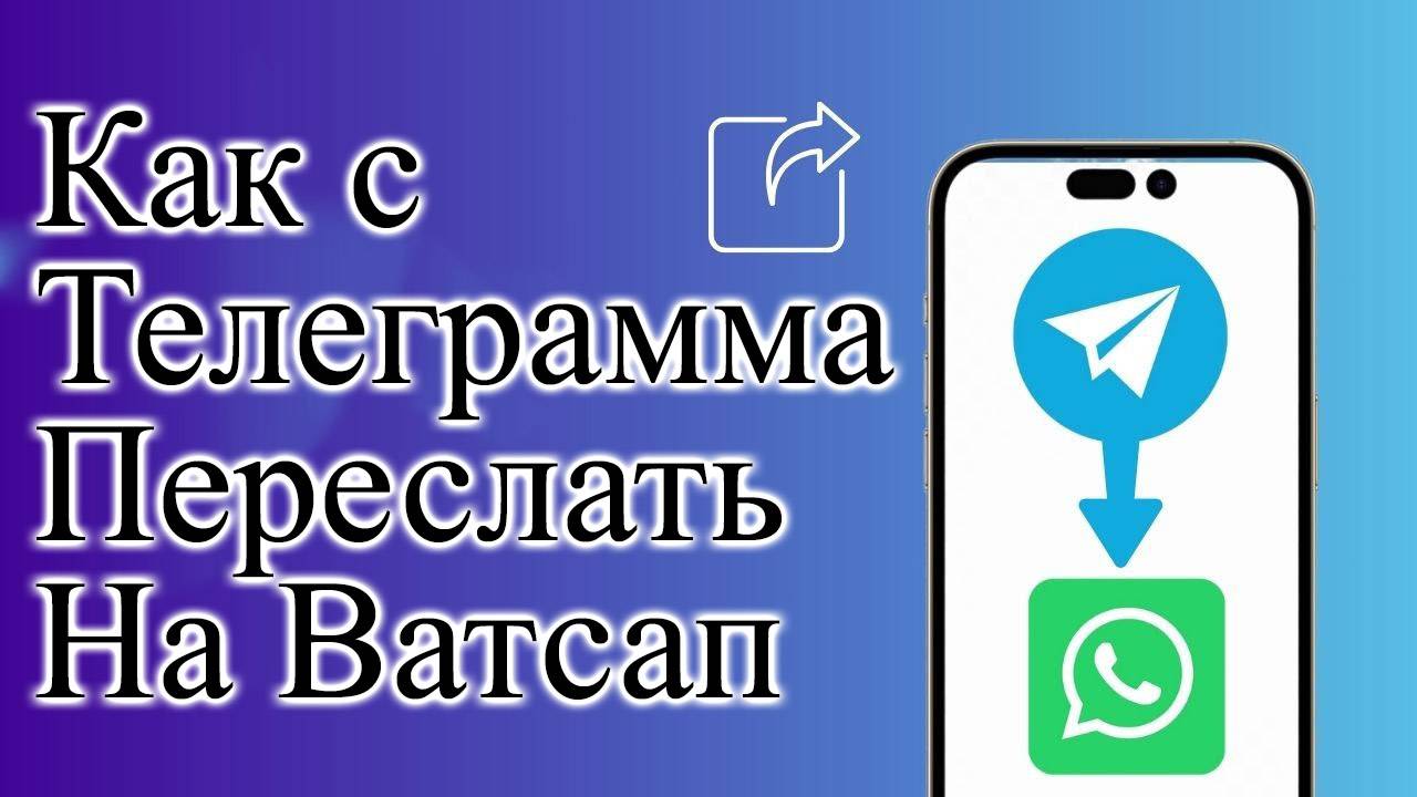 Как с Телеграмма Переслать На Ватсап whatsapp