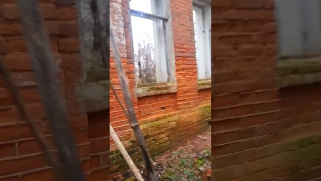 Искали барский дом!