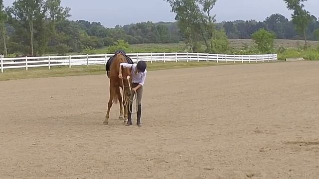 How to Bridle a Difficult Horse