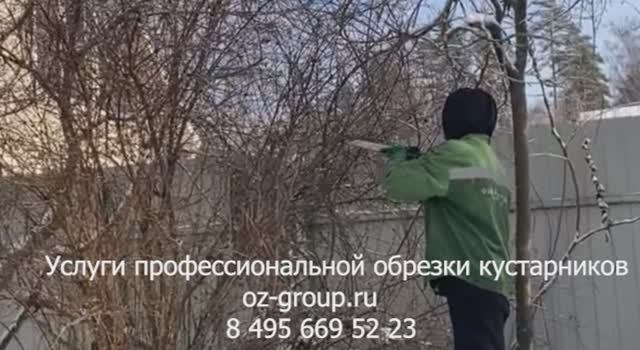 Услуги профессиональной обрезки кустарников на даче. Выезд Агрономов по Москве и области. Звоните!
