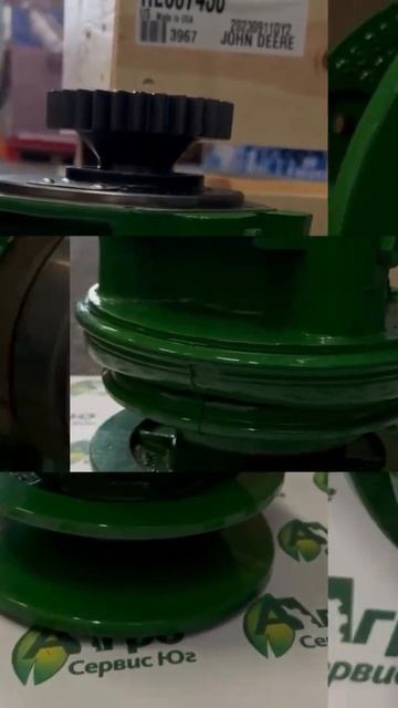 5 декабря 2024 г.