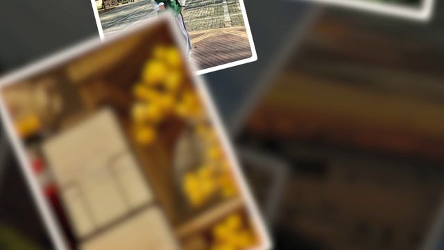 Композиция 1