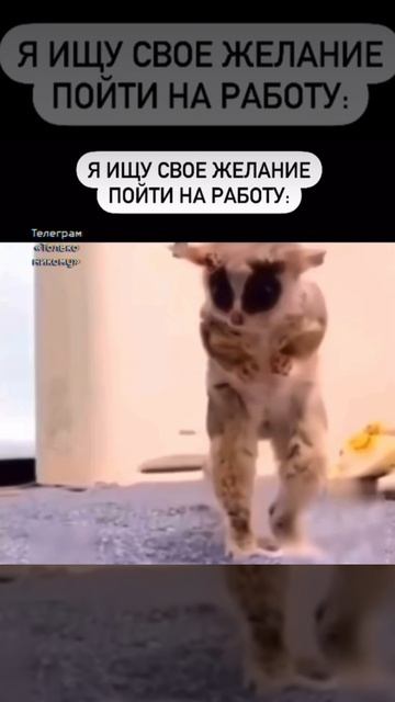 Вредные советы от психолога: самопринятие и личный рост