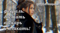 Февраль. Достать вискарь и плакать! («Чёрный Котяра»)
