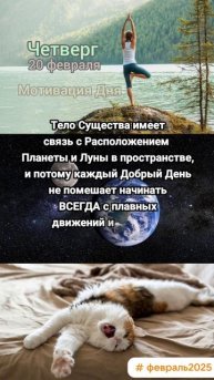 Четверг • 20 февраля
Мотивация Дня
ЭкстрасенС Алексей Надажить