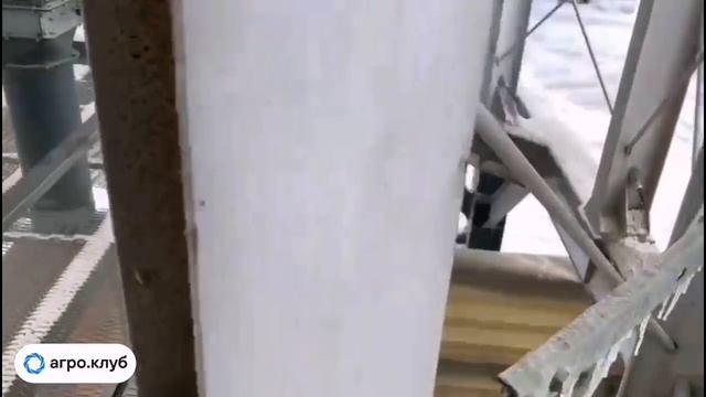 Отгрузка кукурузы в Брянской области с тока