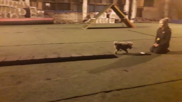 Мотя бум 2занятие