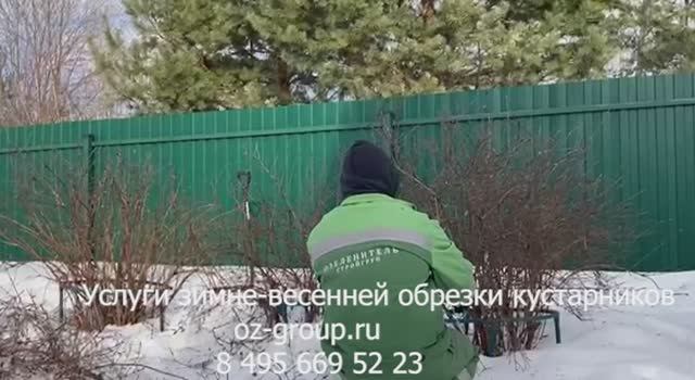 Услуги зимне - весенней обрезки кустарников на даче. Выезд Агрономов по Москве и области. Звоните!
