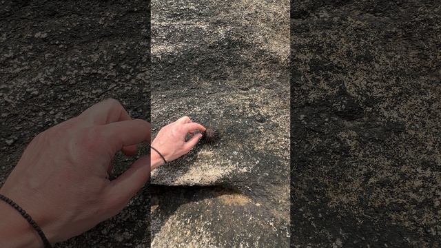 Неожиданная находка!