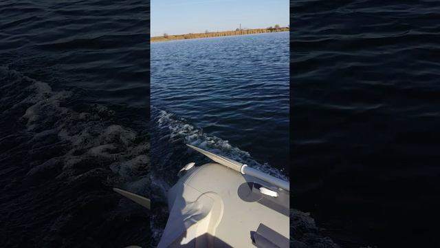 штормлайн 310 и микатсу 5