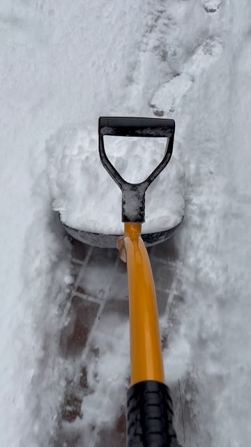 Обычное утро… #shorts #утро #влог #жизнь