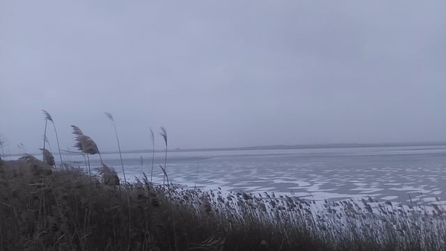 VID_20250219_144425