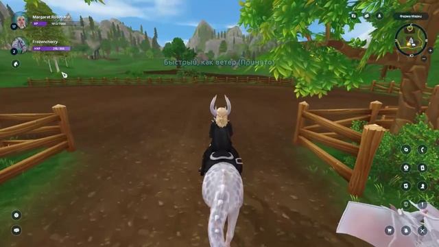 Как прокачать лошадь быстрее в Star Stable Online | Equestrian Journey