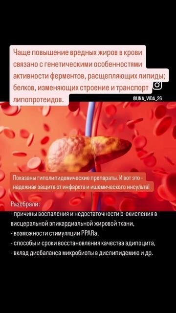 Лишний жир - что опасного_
