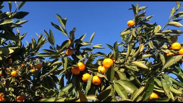 Погрузитесь в ощущения тела #5