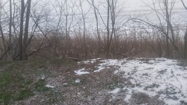 VID_20250219_144439