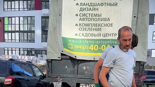 Посадка деревьев в Пензе.