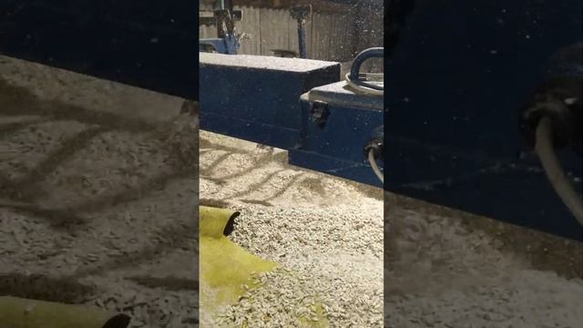 Гарбузова мішалка для сушки