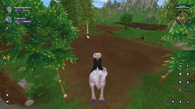 Опасности Джорвика: как избежать неприятностей | Equestrian Journey