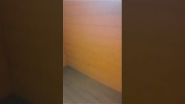 VID-20240618-WA0007