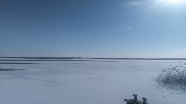 VID_20250220_102619