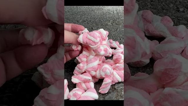 #микромир #микроскоп #интересно #подмикроскопом #наука