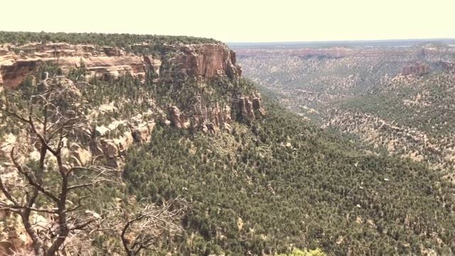 Mesa Verde National Park
