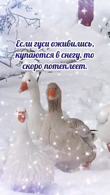 21 февраля# Захарий серповидец# приметы и обычаи