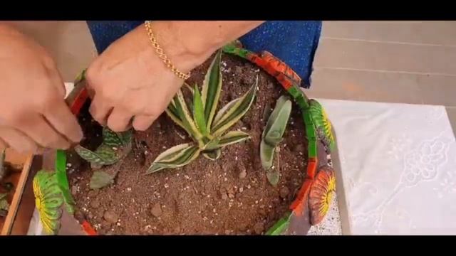 How to make Aloe Tray for indoors//Air Purifier Tray
